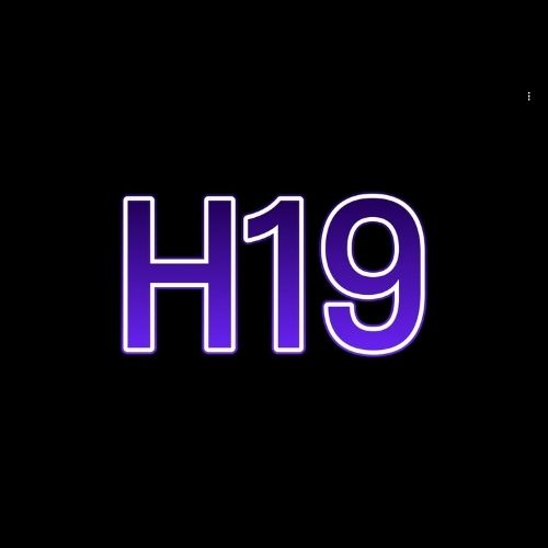 fh19nett